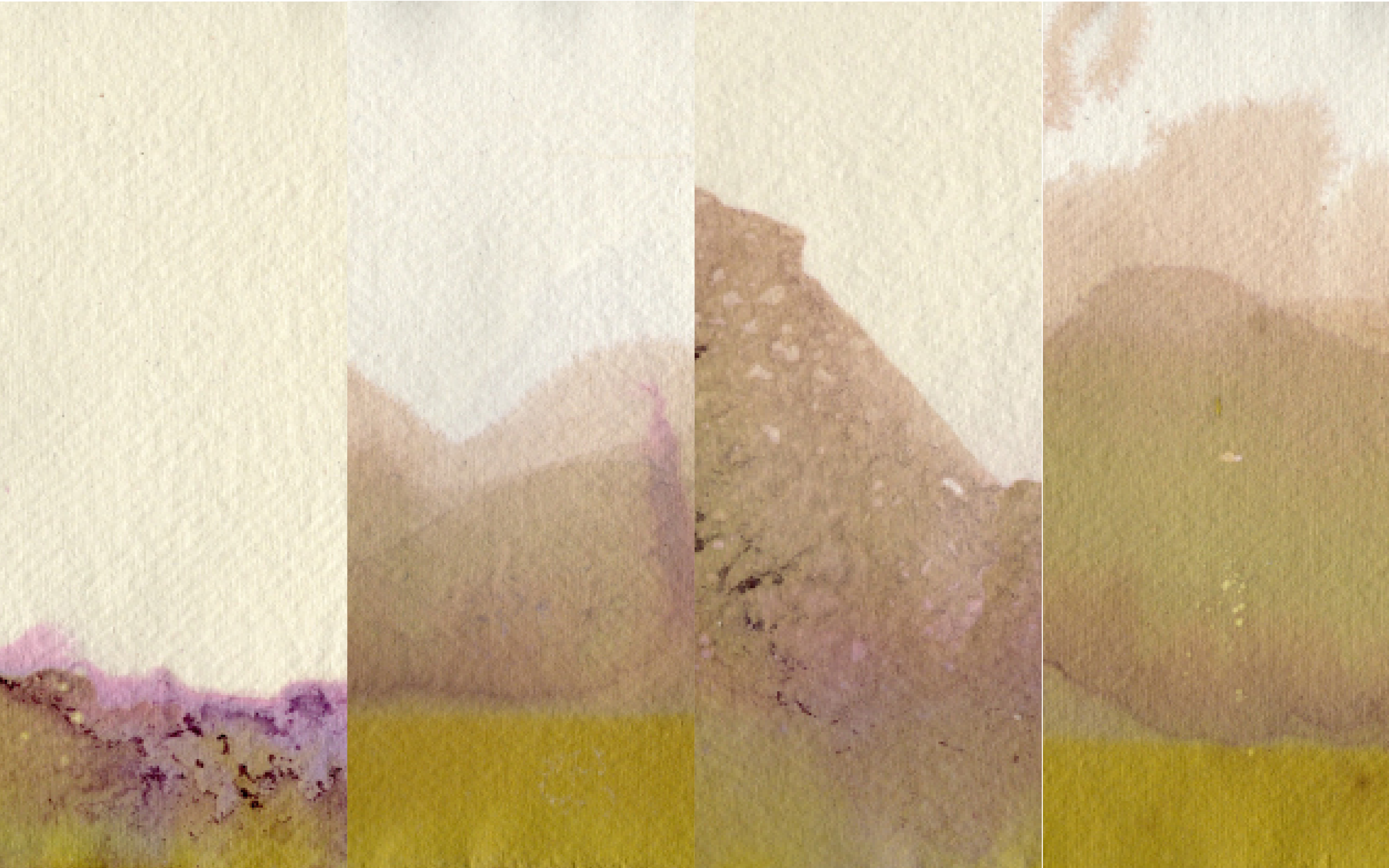 Mosaic image of four paintings made with ink chromatography