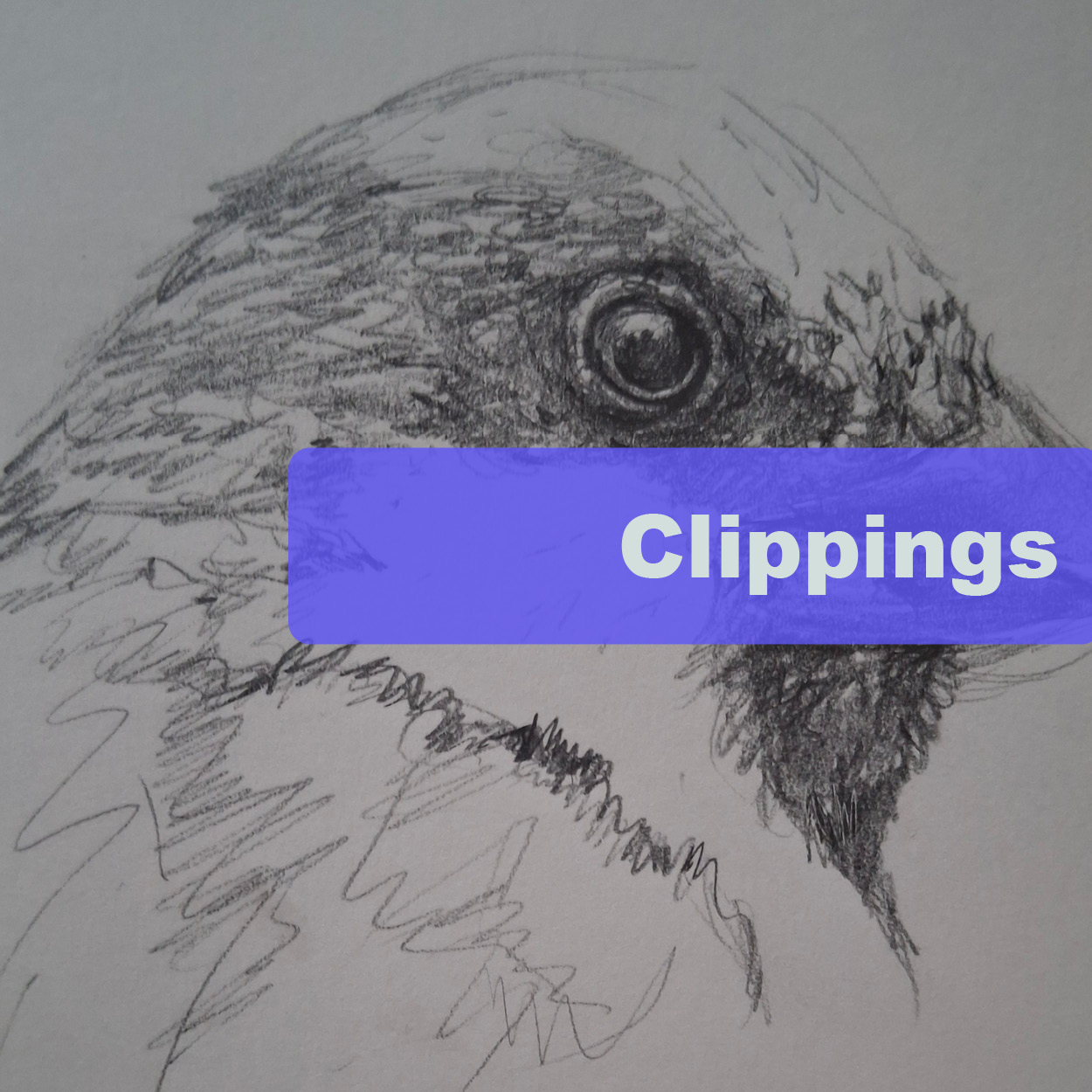Portfolio artwork thumbnail for Clippings.me website