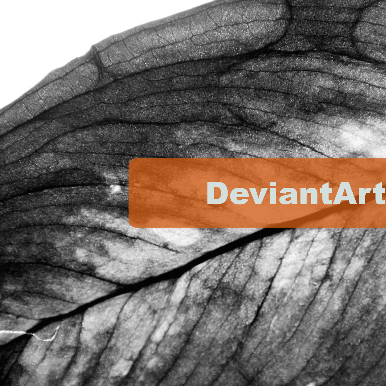 Portfolio artwork thumbnail of DeviantArt images
